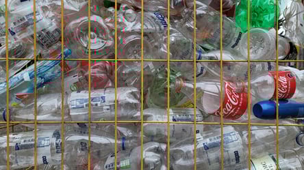 Вчені виявили "команду" бактерій, здатних розкладати біопластик - 285x160