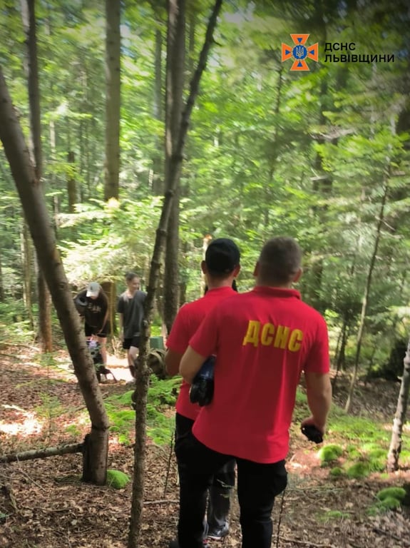 У Львівській області в лісі заблукали жінки