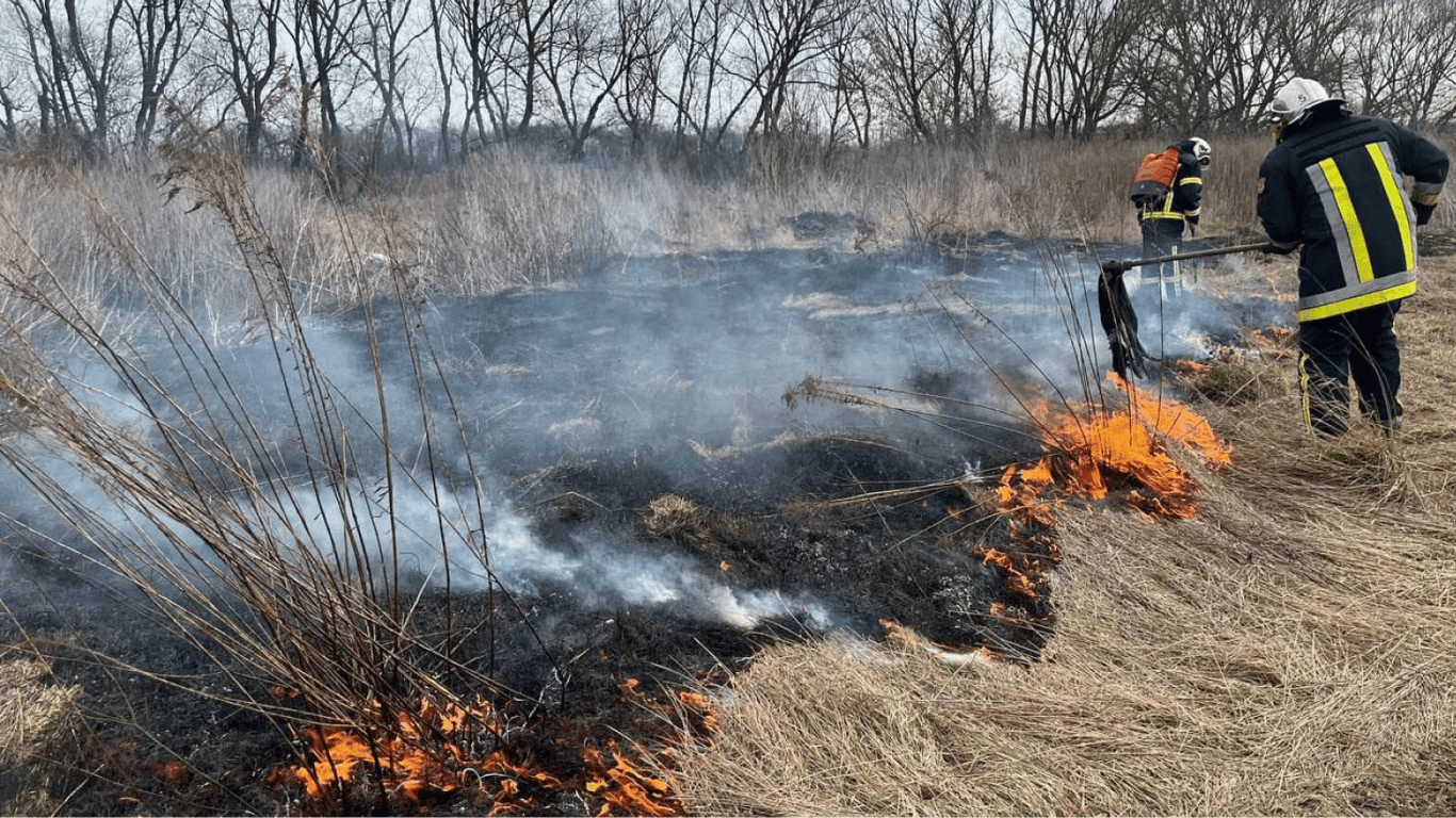 Штраф за спалення сухої трави — рятувальники нагадали про відповідальність