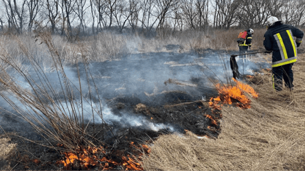 Відповідальність за спалення сухої трави — які штрафи загрожують правопорушникам - 285x160