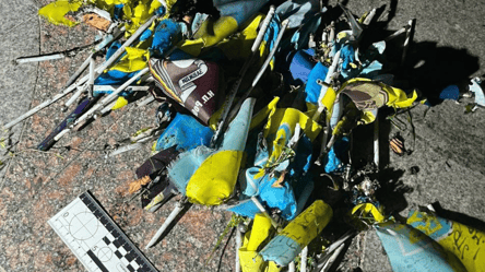 A young man burned Ukrainian flags in Odesa — the reason for the act - 285x160