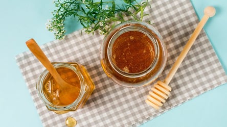 Як визначити якість меду в домашніх умовах - 290x166