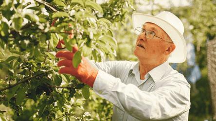 Сделайте это до 1 мая, и урожай удивит: семь главных дел в саду - 285x160