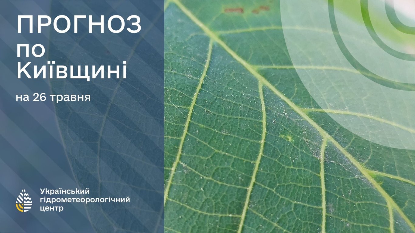 погода на Київщині 26 травня