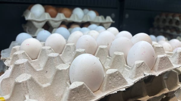 Бюджетные яйца исчезли из супермаркетов — что происходит с ценами в декабре