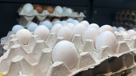 Ціни на поштучні яйця тягнуться вгору — де шукати найдешевші - 285x160