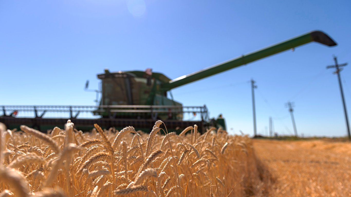 Цены на зерновые в Украине по состоянию на 21 сентября 2023