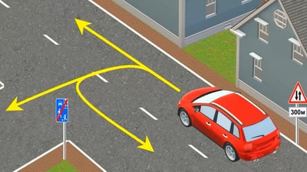 Хитрий тест з ПДР: за допомогою знаків оберіть правильний напрямок руху авто - 285x160