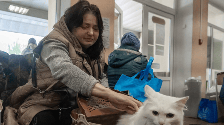 В Україні мільйони переселенців — як це вплине на вибори - 285x160