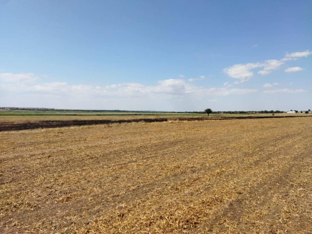 На Одещині зорали понад 200 гектарів прибережних смуг — фото - фото 2