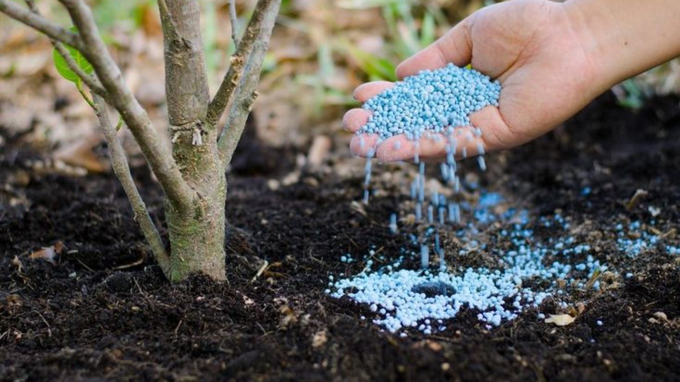 Садівник підживлює дерево.