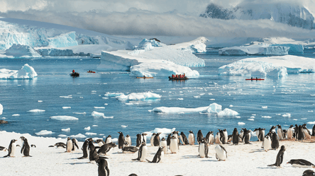 Площадь льда вокруг Антарктиды достигла исторического минимума за 45 лет наблюдений - 285x160