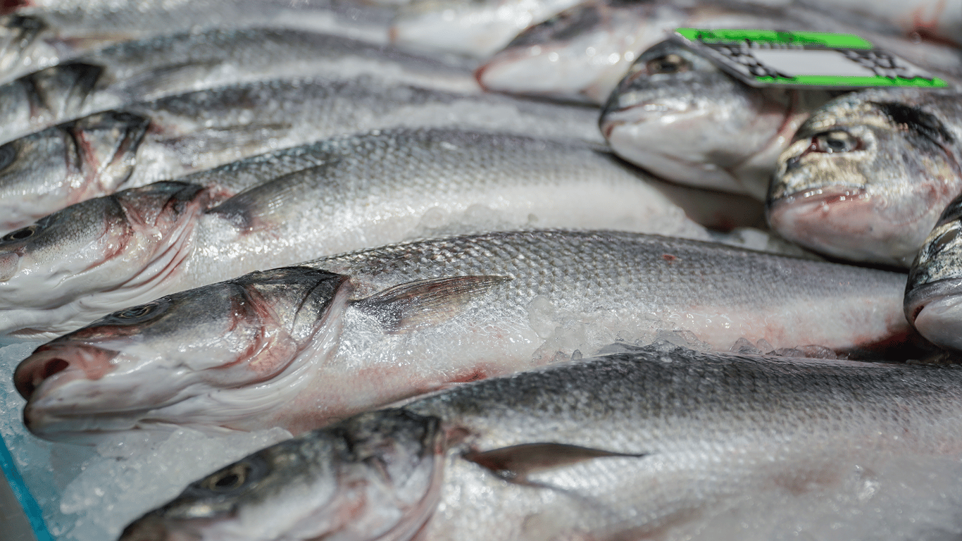 Как правильно выбирать рыбу: 4 признака качества, которые должен знать каждый покупатель