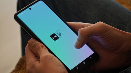 Стартувала "Зимова підтримка 2025" — як оформити виплату в Дії - 290x160