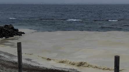 Найбільший порт України обмежив роботу — в море попала олія - 285x160