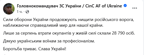 Сирський назвав втрати окупантів за серпень - фото 1