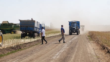 В Україні знову впали ціни на сою — вартість зернових у листопаді - 290x166