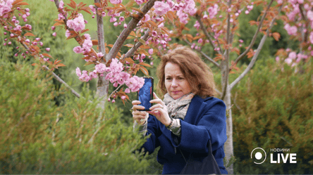 Одеса навесні: цвітіння сакур у парку Перемоги через об'єктив Новини.LIVE - 285x160