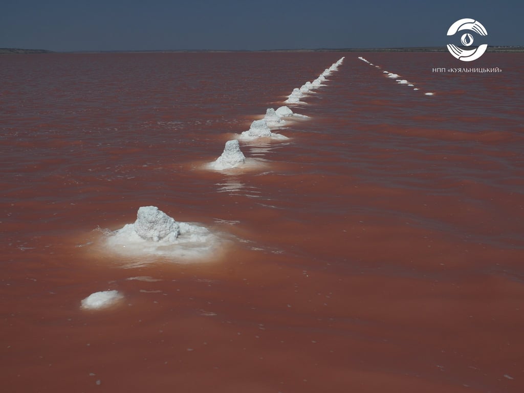 На Одещині зацвів рожевим лиман — вражаючі фото - фото 4