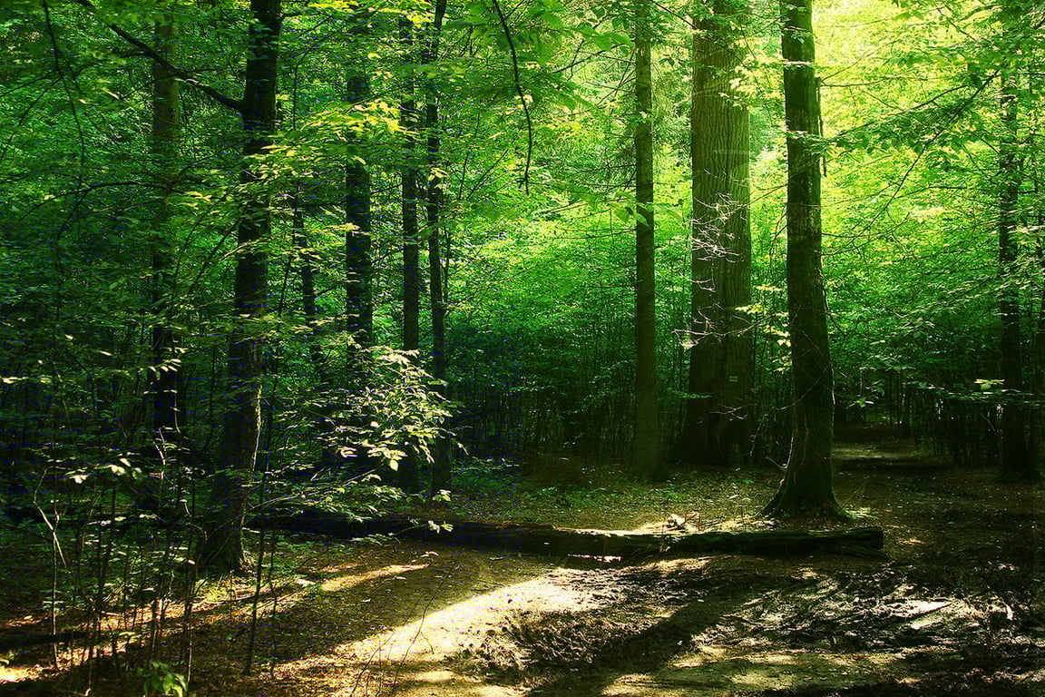 Які міста варто відвідати в Польщі —рейтинг для туристів - фото 3