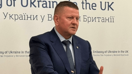 Залужний відреагував на звинувачення у підриві Північних потоків - 285x160