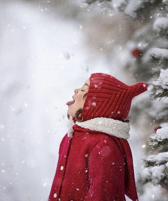 30 грудня заборони