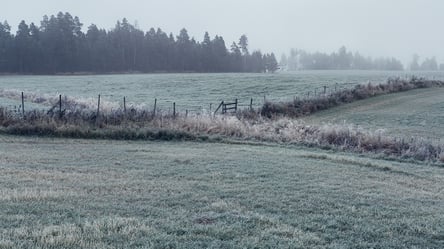 Изменения в договор аренды земли — без какого документа невозможно внести - 285x160