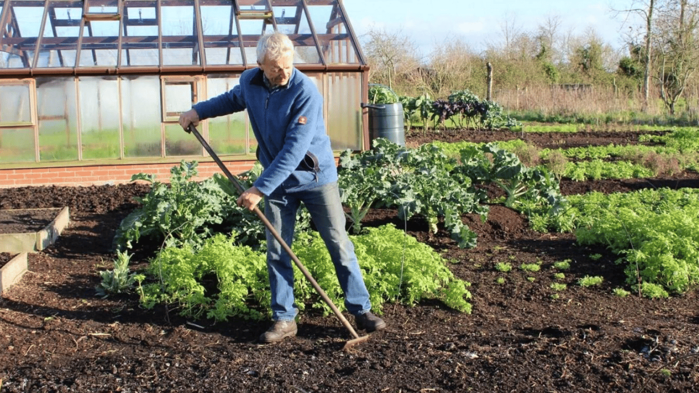 Як врятувати сад і город від весняних морозів: прості способи, що працюють