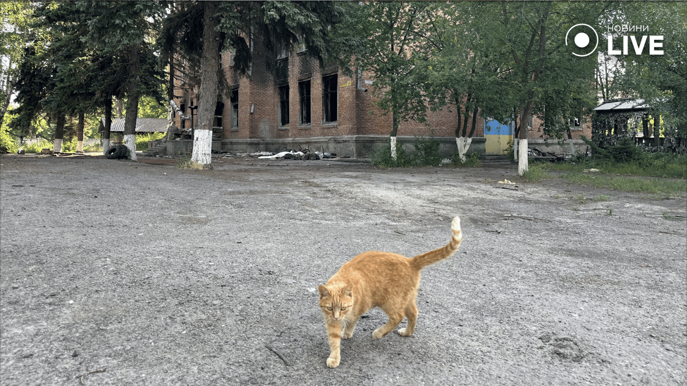 Янголи допомоги — Госпітальєри відновлюють базу після атаки РФ - фото 4