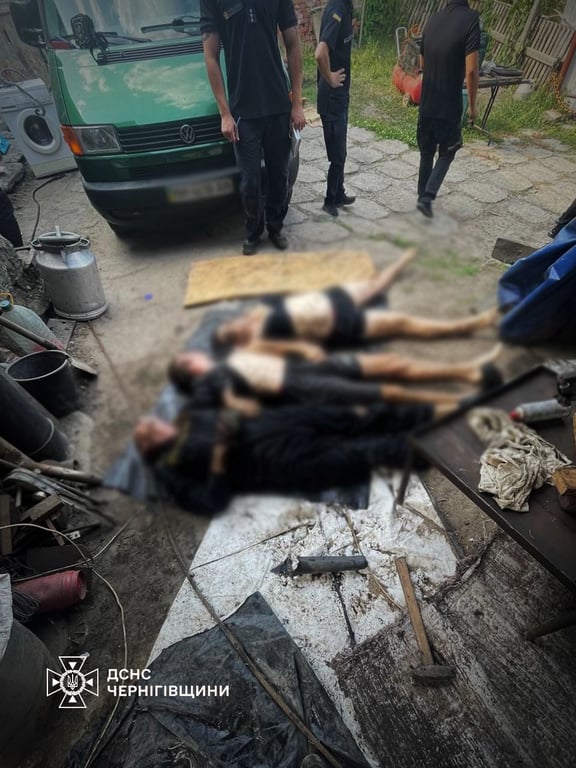 новгород-свіерський смерть 