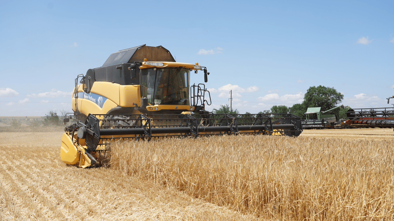 Ціни на зернові в Україні станом на 16 червня 2024 року — скільки коштує ячмінь сьогодні