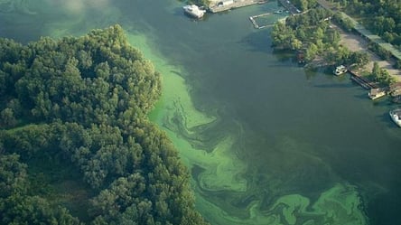 Чому в Україні зеленіють річки — названо головну проблему - 285x160