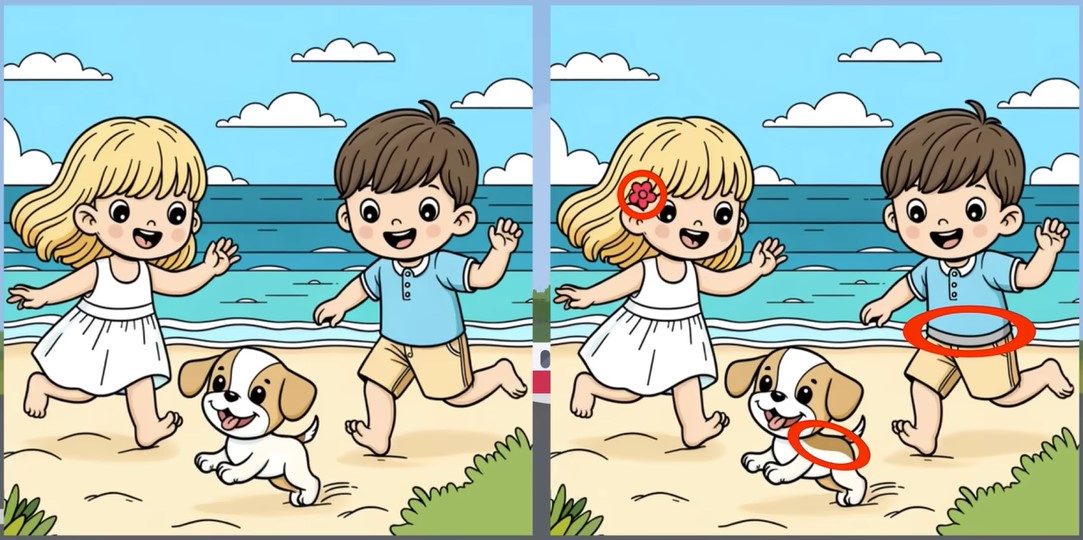 Лише унікуми знайдуть три відмінності в милій сцені біля моря - фото 2