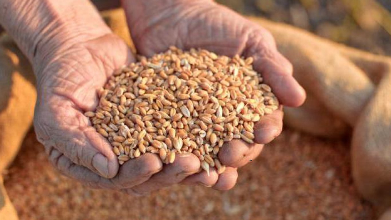 Россия вывозит из Украины награбленное зерно: какие пути для этого использует