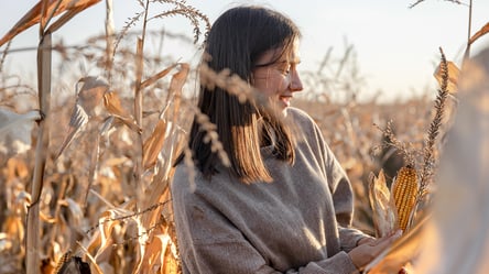 Ціни здатні здивувати — скільки коштує земля в Україні - 285x160