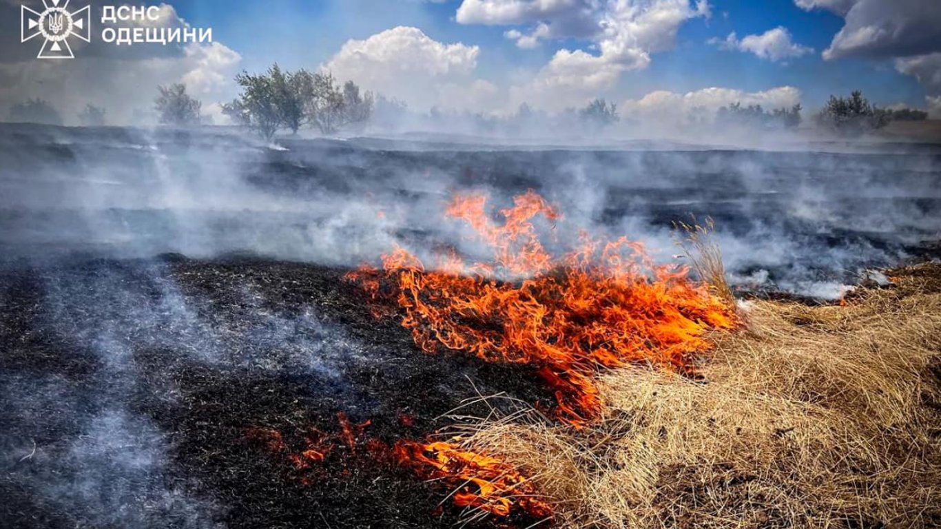 Масштабні пожежі на Одещині: у ДСНС дали наслідки