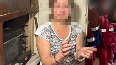 На Киевщине женщина убила мужчину за "пророссийские взгляды" - 290x160