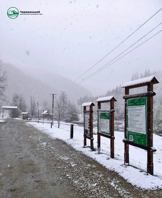 сніг на Буковині 17 квітня