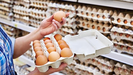 Євросоюз може повернути мита на українські яйця і цукор — у чому причина - 285x160