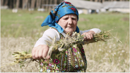 Восени пенсії зростуть — хто може розраховувати на доплати - 285x160