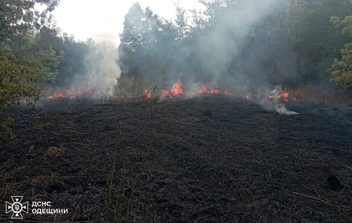Пожар в Одесской области