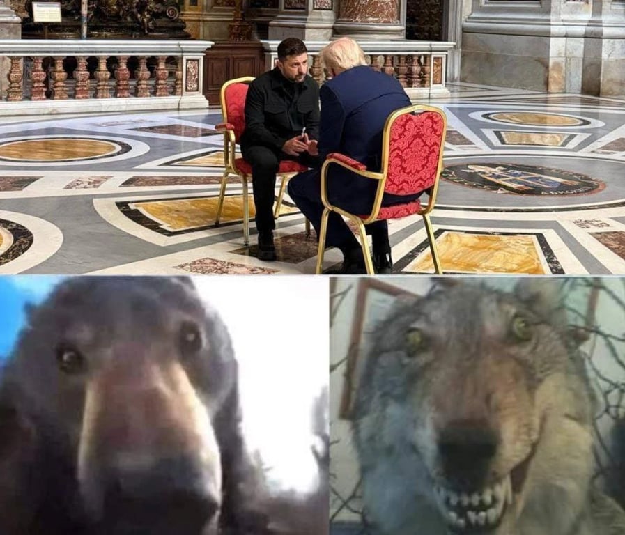 Мем про зустріч українського лідера та Президента США