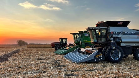 Ціни на зерно в Україні: скільки коштує кукурудза у серпні - 285x160