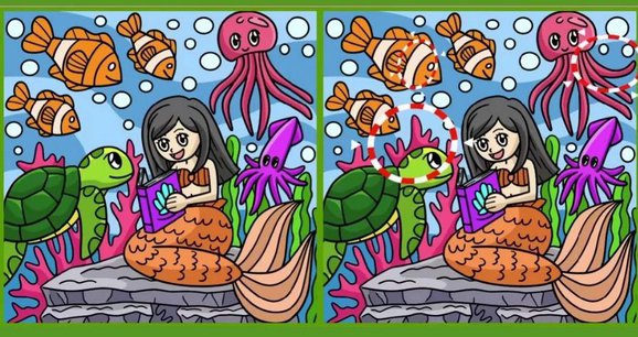 Найденные отличия в оптической головоломке