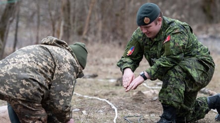Канадские саперы обучают разминированию военных ВСУ в Польше - 285x160