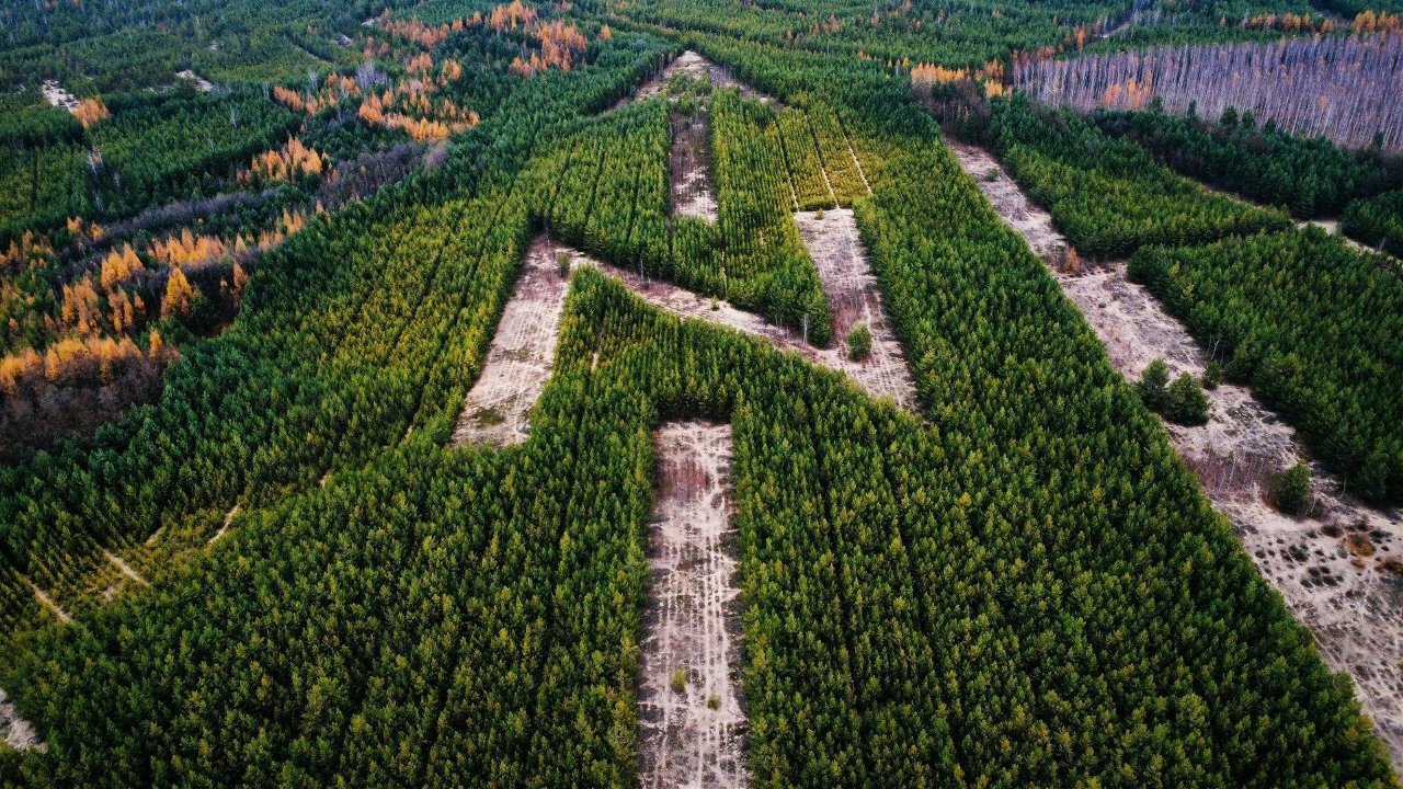 Kompas z Bukowna. Фото: gazetakrakowska.pl