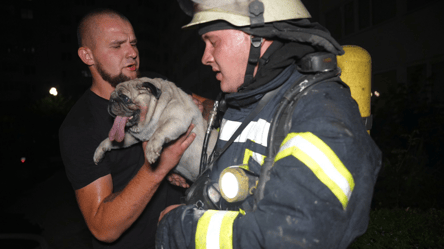 Пожежа в Одесі у багатоповерхівці — врятували людей і трьох собак - 285x160