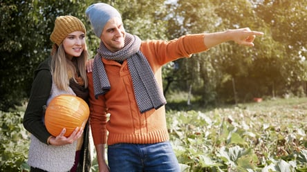 Субаренда земли — можно ли сдать без разрешения собственника - 285x160