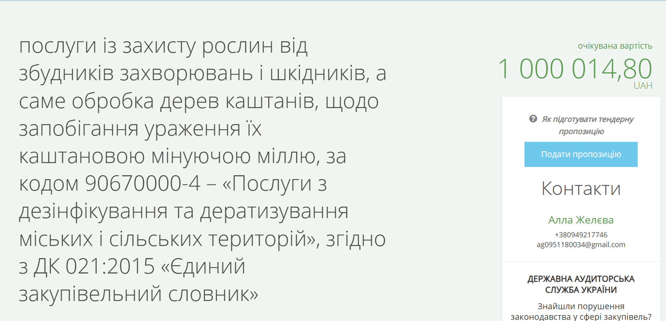 Захист каштанів на мільйон — в Одесі оголосили тендер - фото 1