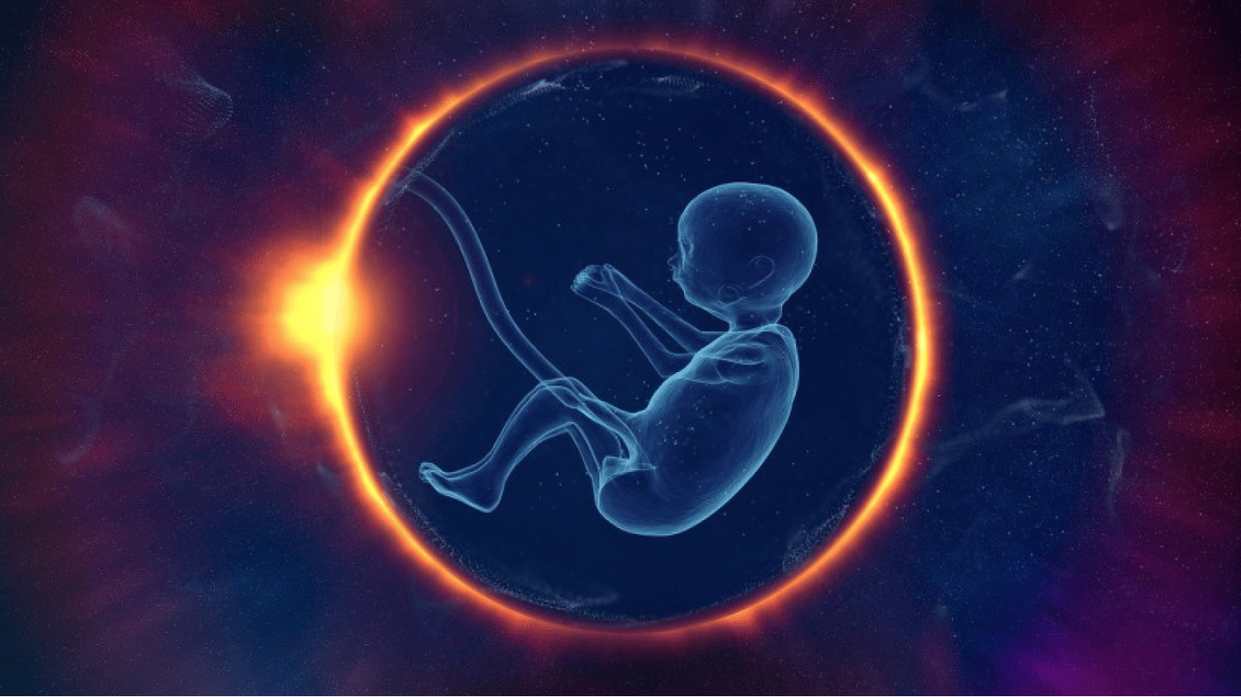 Завагітніти у космосі — вчені досліджують можливості народження дітей за межами Землі